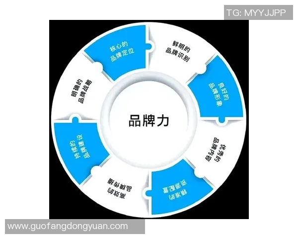 豪门国际品牌定位与追求的深度解析与市场影响力探讨