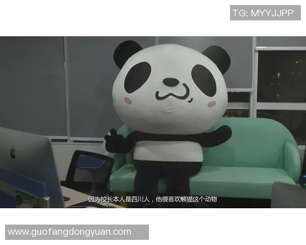 熊猫体育赛事直播全方位解析精彩瞬间与赛事亮点尽在掌握