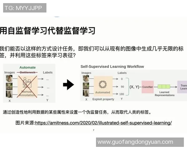 耀世娱乐自监督学习的创新探索与实践应用分析 耀世娱乐自监督学习的创新探索与实践应用分析