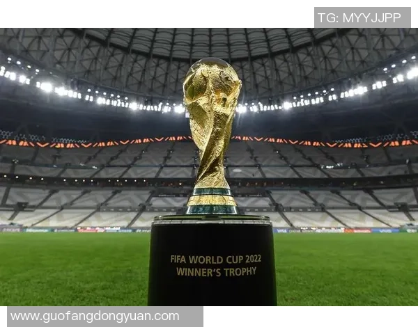 2030年世界杯展望：百年庆典将由哪个国家主办引发全球关注