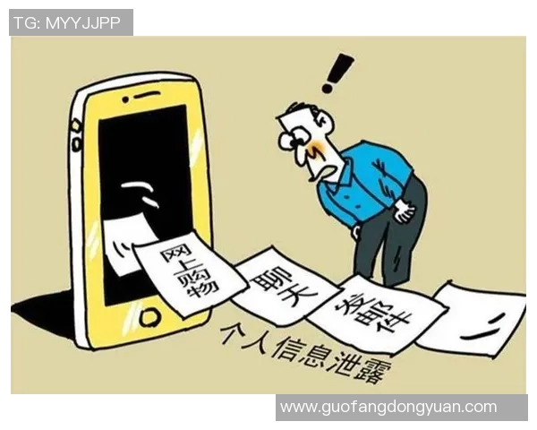 国际足联官网短暂瘫痪引发网络攻击风波及安全隐患讨论